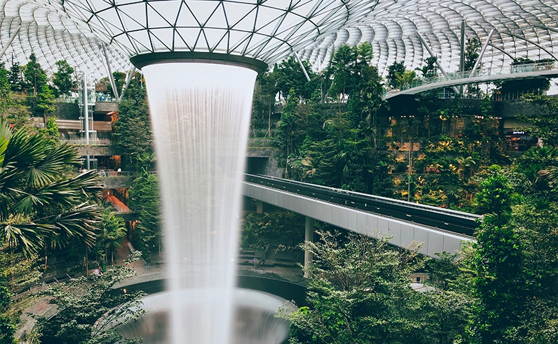 Cloud Forest